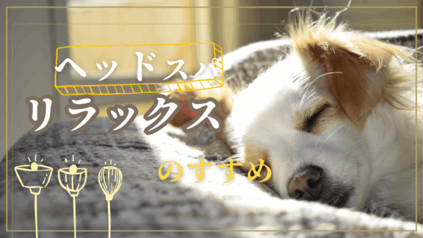 「ヘッドスパでリラックス効果が高いのはなぜ？忙しい日常を癒す極上ケアと薄毛・フケ対策まで総合ガイド