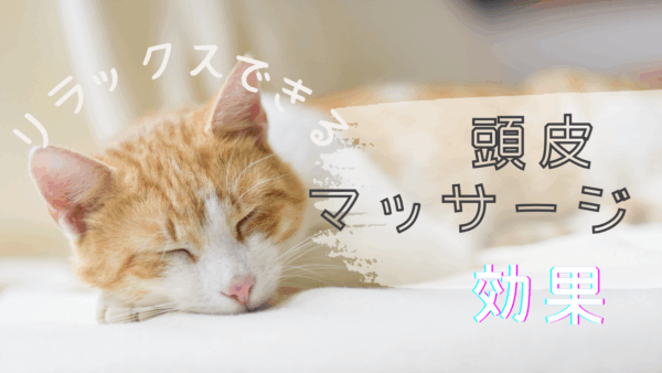 「頭皮マッサージで差がつく！ヘッドスパを効果的に活用して薄毛・フ